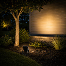 30W Black Integrated Outdoor LED Flood Light, IP66, 5000K Daylight